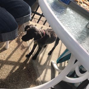 Meet your Posher, Barbara